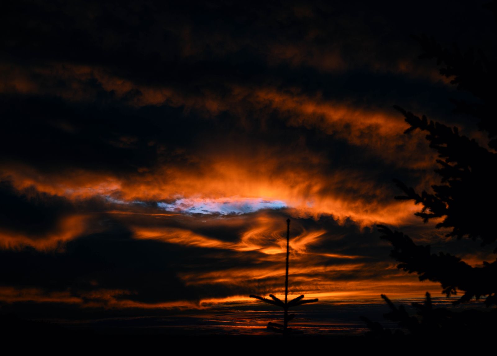 Abendhimmel mit glühend orangen Wolken über dunklen Tannensilhouetten