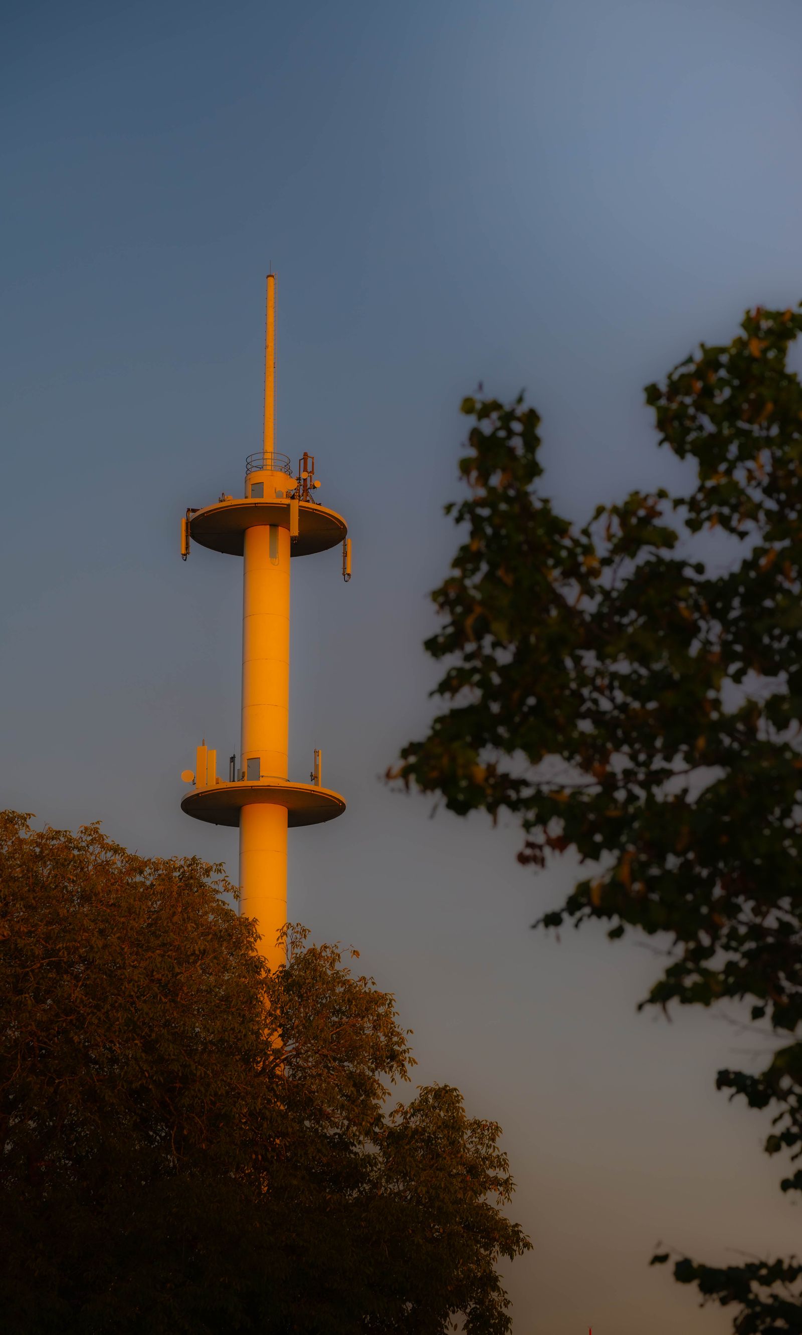 Funkturm leuchtet orange im letzten Abendlicht über dunklen Baumkronen