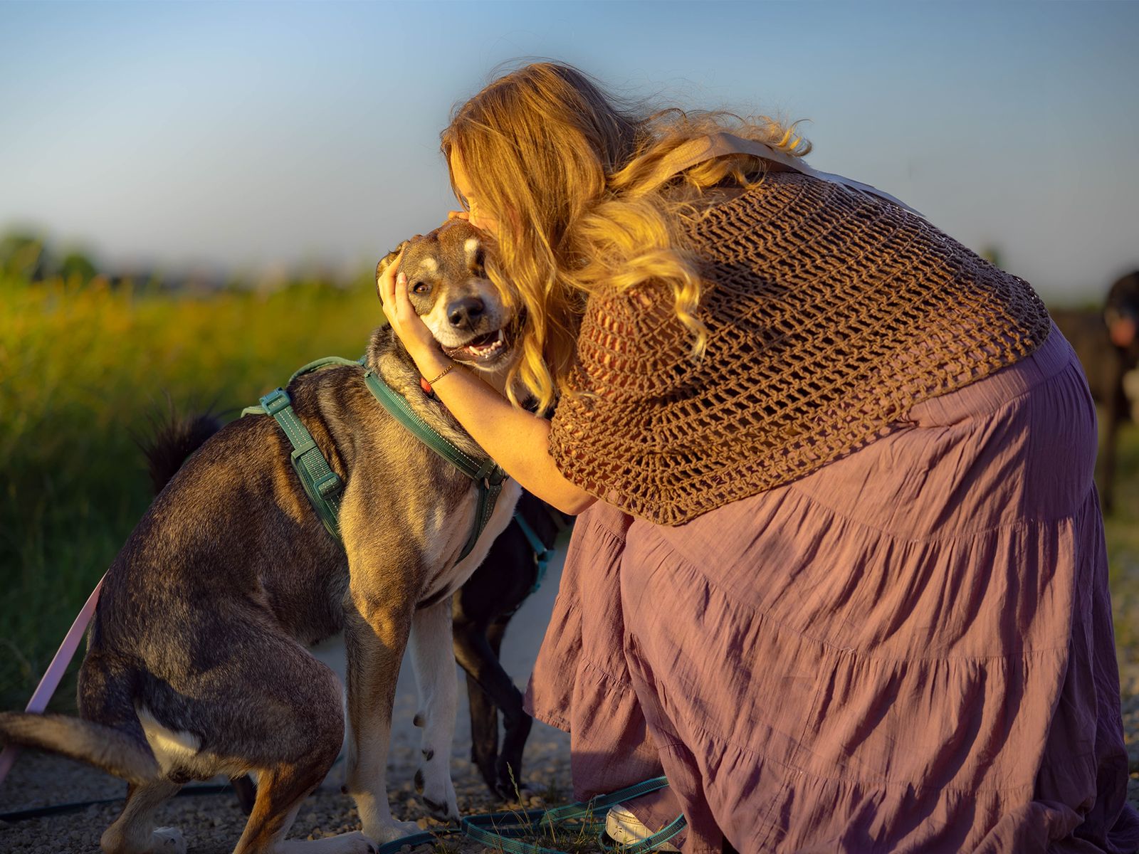 Frau umarmt einen Hund im warmen Abendlicht